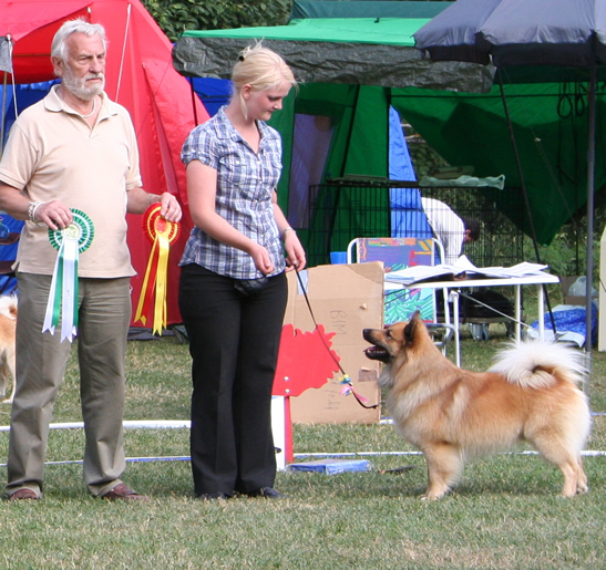 Orri BEST IN SHOW!